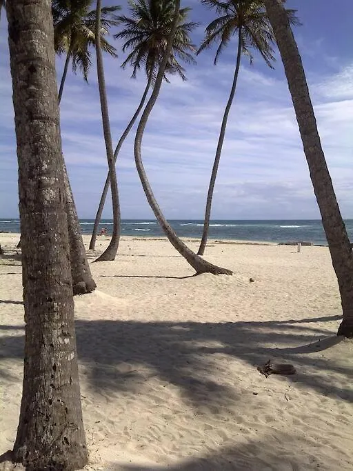 Apartamento Playa Juan Dolio, Rd-Acceso Privado A La Playa Justo Al Frente En 1Ra Linea, Areas Sociales, Bbq, Piscina, Gazebos-Parqueo-Wifi-Netflix-Al Lado De Minimarket, Restaurantes, Bares, Tiendas, Clubes De Playa, Campos De Golf, Bancos Comerciales Y Mas Guayacanes